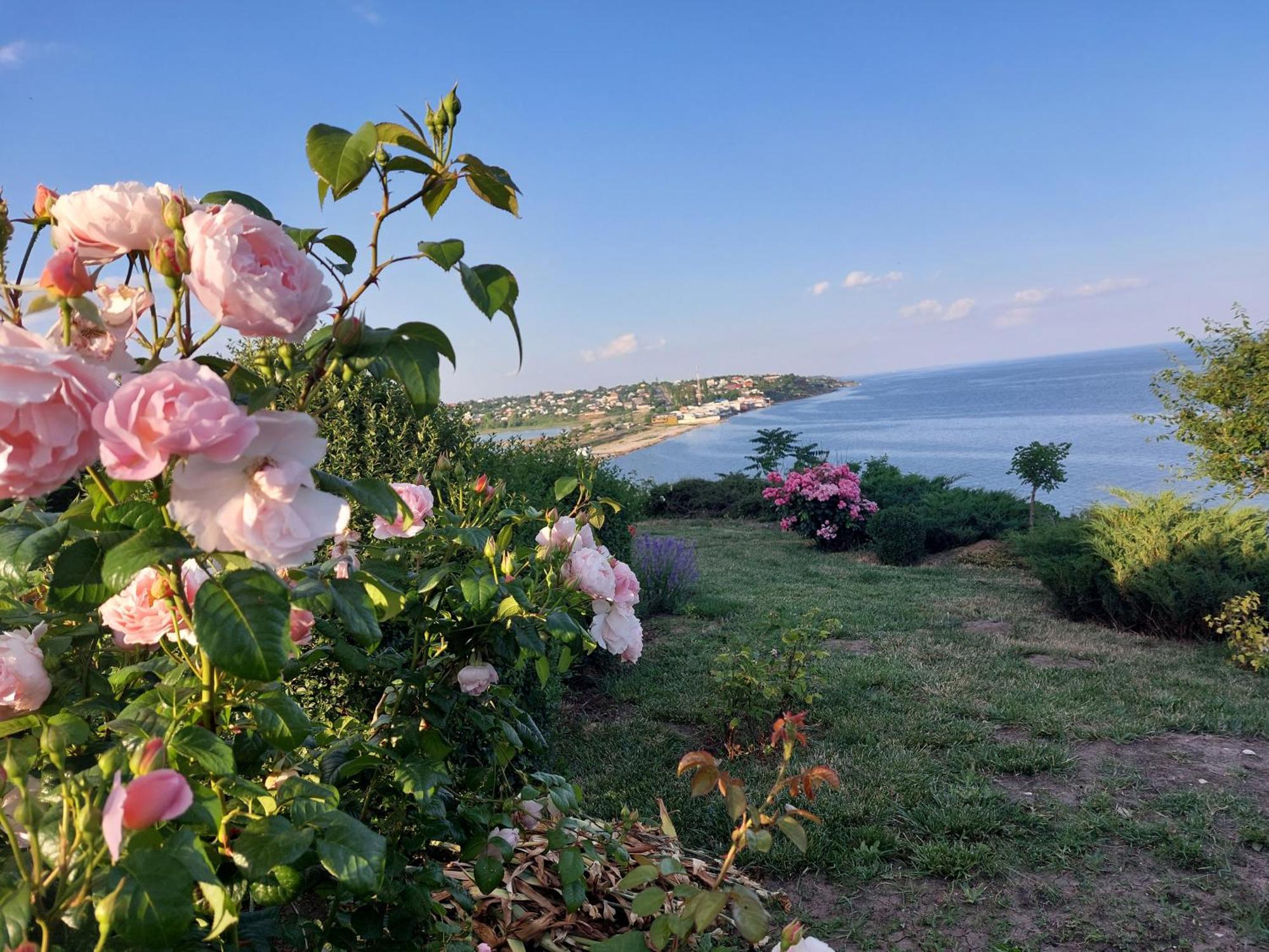 Villa Lavanda Vapnyarka Kültér fotó