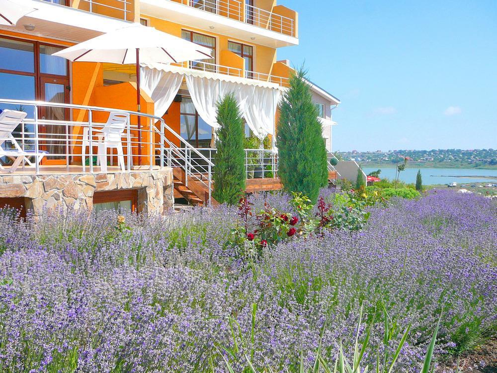Villa Lavanda Vapnyarka Kültér fotó
